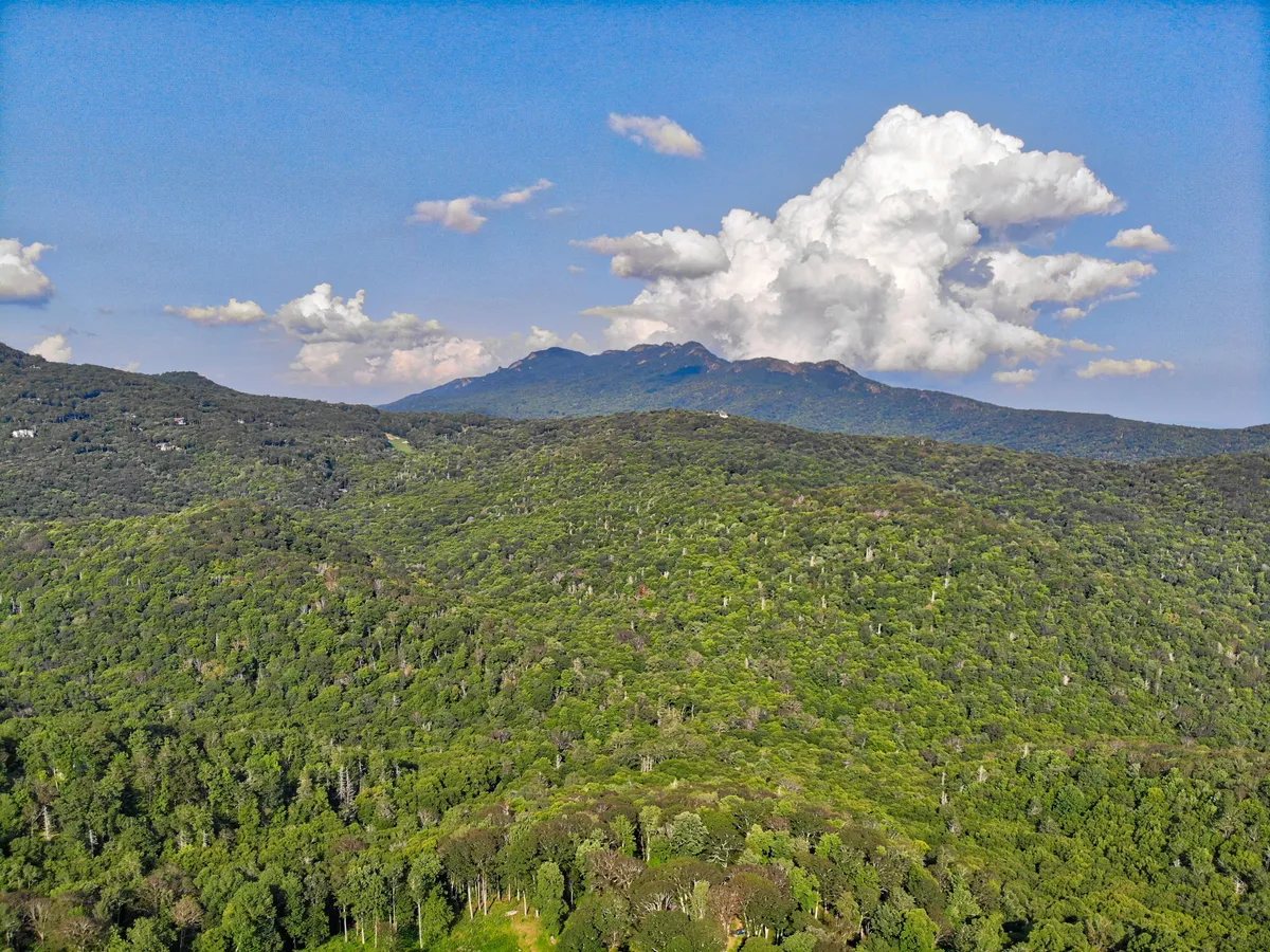 An expansive view of rolling green hills and distant mountains, under a dynamic sky of clouds. The landscape suggests endless opportunities for hiking, wildlife encounters, and scenic drives—the kinds of outdoor adventures that make the High Country special for families.
