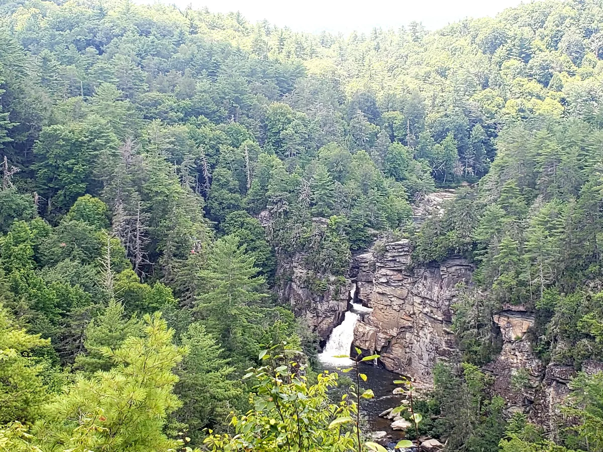 A panoramic natural view of a waterfall cascading over rock formations in a dense forest setting. The scene exudes serenity and connects strongly with the overall natural beauty of the mountain location.