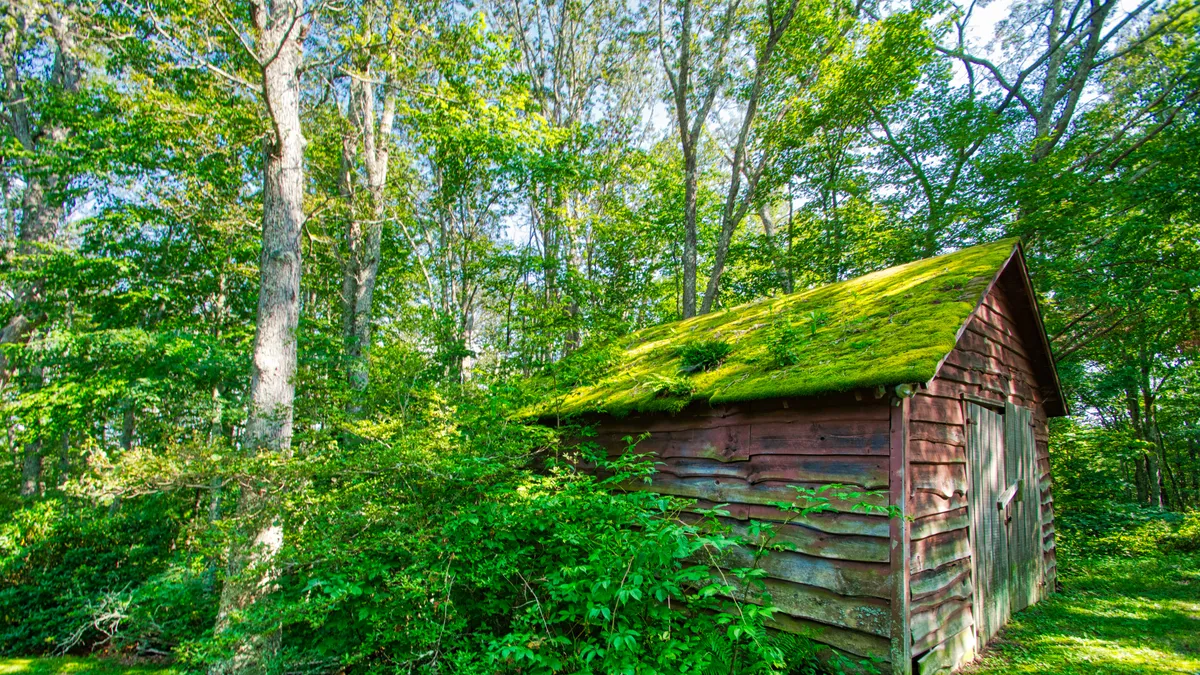 This image features the rustic cabin with a moss-covered roof surrounded by lush greenery. The setting evokes a sense of seclusion and tranquility, perfect for someone seeking a peaceful retreat after attending a nearby event. The cabin is nestled into the landscape, suggesting privacy and a strong connection to nature.