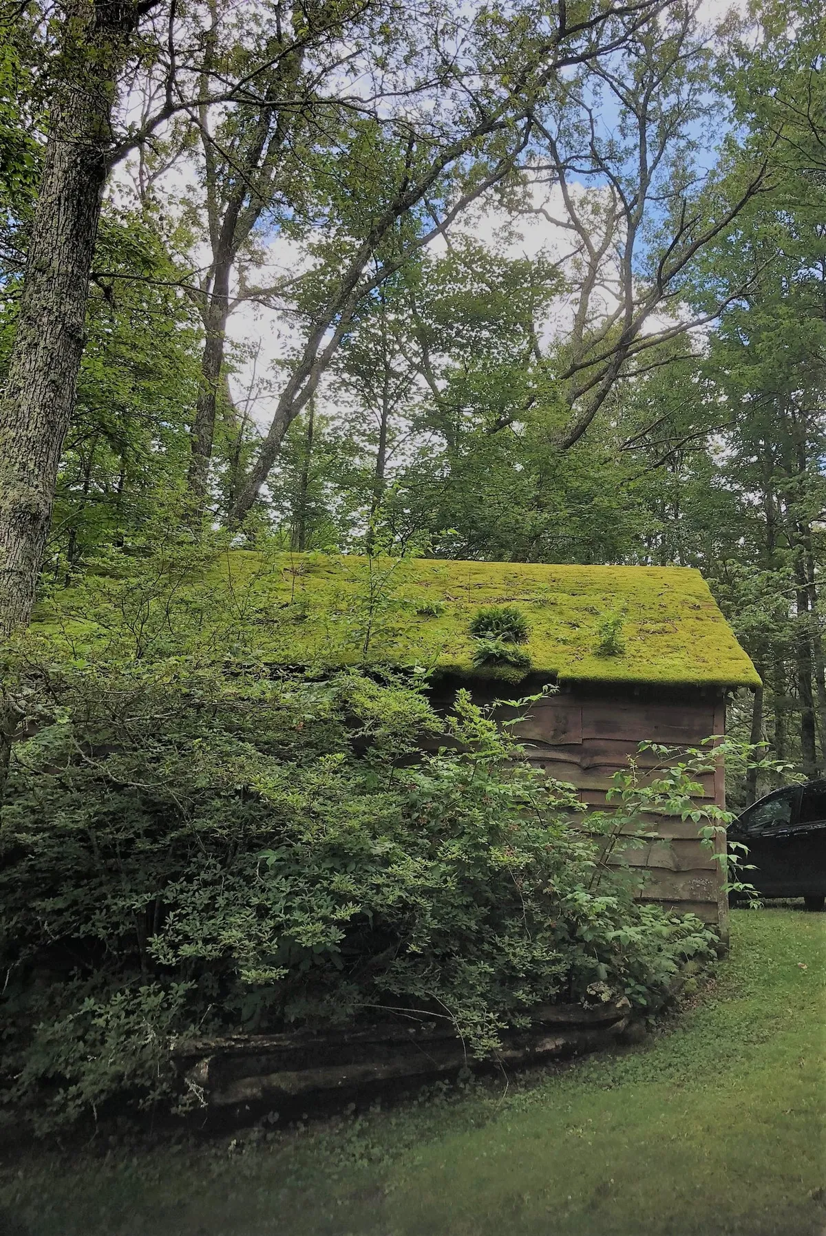 This image captures the wooden cabin nestled among lush greenery with a moss-covered roof, set amidst tranquil woods. The natural surroundings evoke feelings of peace and immersion in the mountain environment, with an inviting sense of seclusion and adventure.